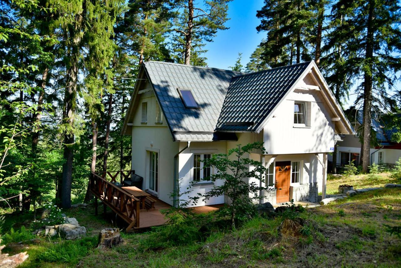 Górski Domek koło Karpacza- Apartamentuj Exterior foto