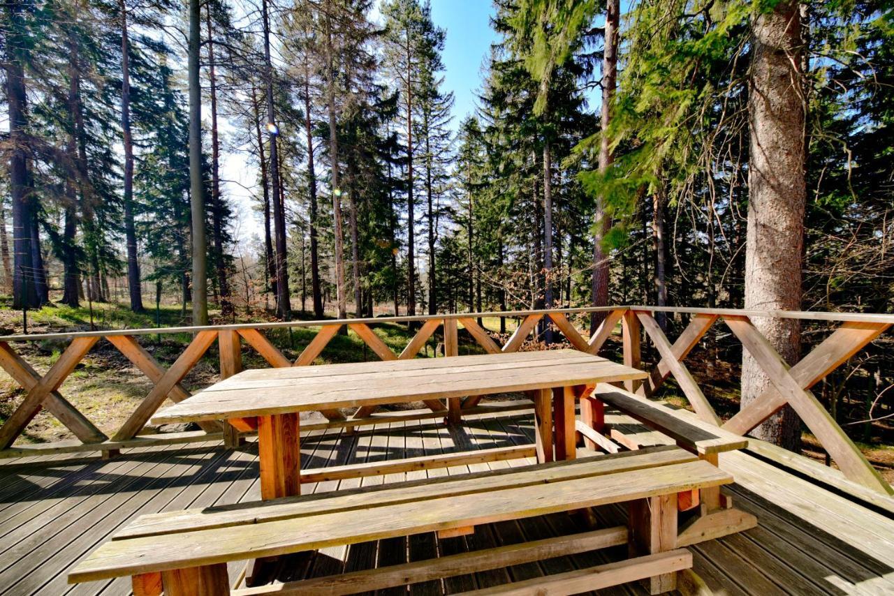 Górski Domek koło Karpacza- Apartamentuj Exterior foto